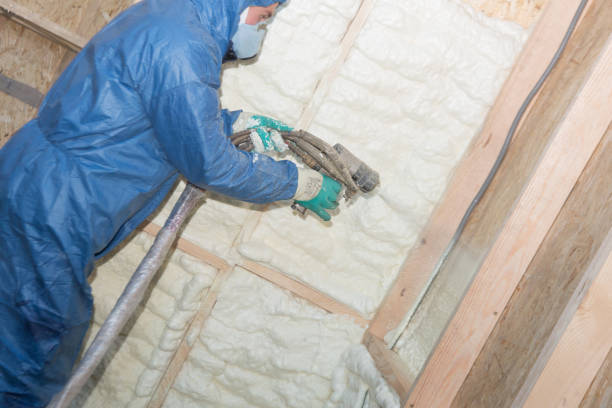 Best Insulation for New Construction  in Pleasanton, TX